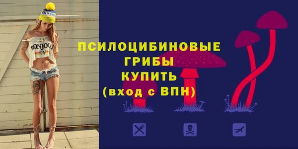 прущий лед Армянск