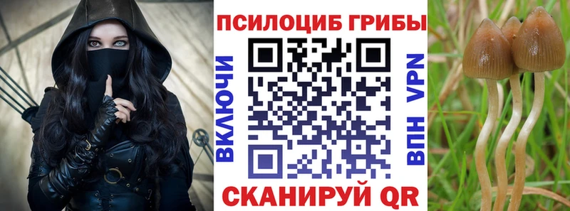 Псилоцибиновые грибы Psilocybe  где можно купить наркотик  Тюкалинск 